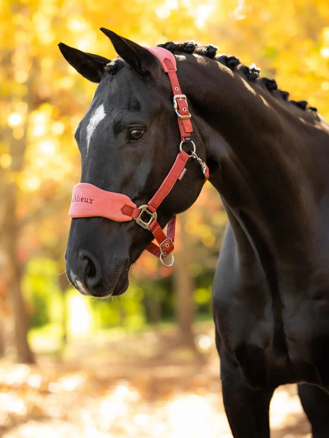 LeMieux Vogue Headcollar & Lead Rope Set | Russet