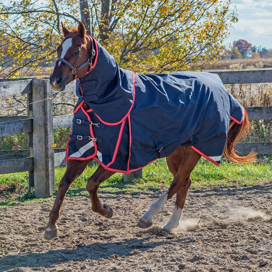 Canadian Horsewear MONARCH Diablo Turnout 300 gm