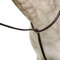 FLEX RIDER Plain Raised Standing Martingale