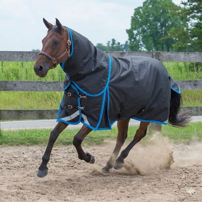 Canadian Horsewear Seaport Diablo 50gm - Liner Compatible