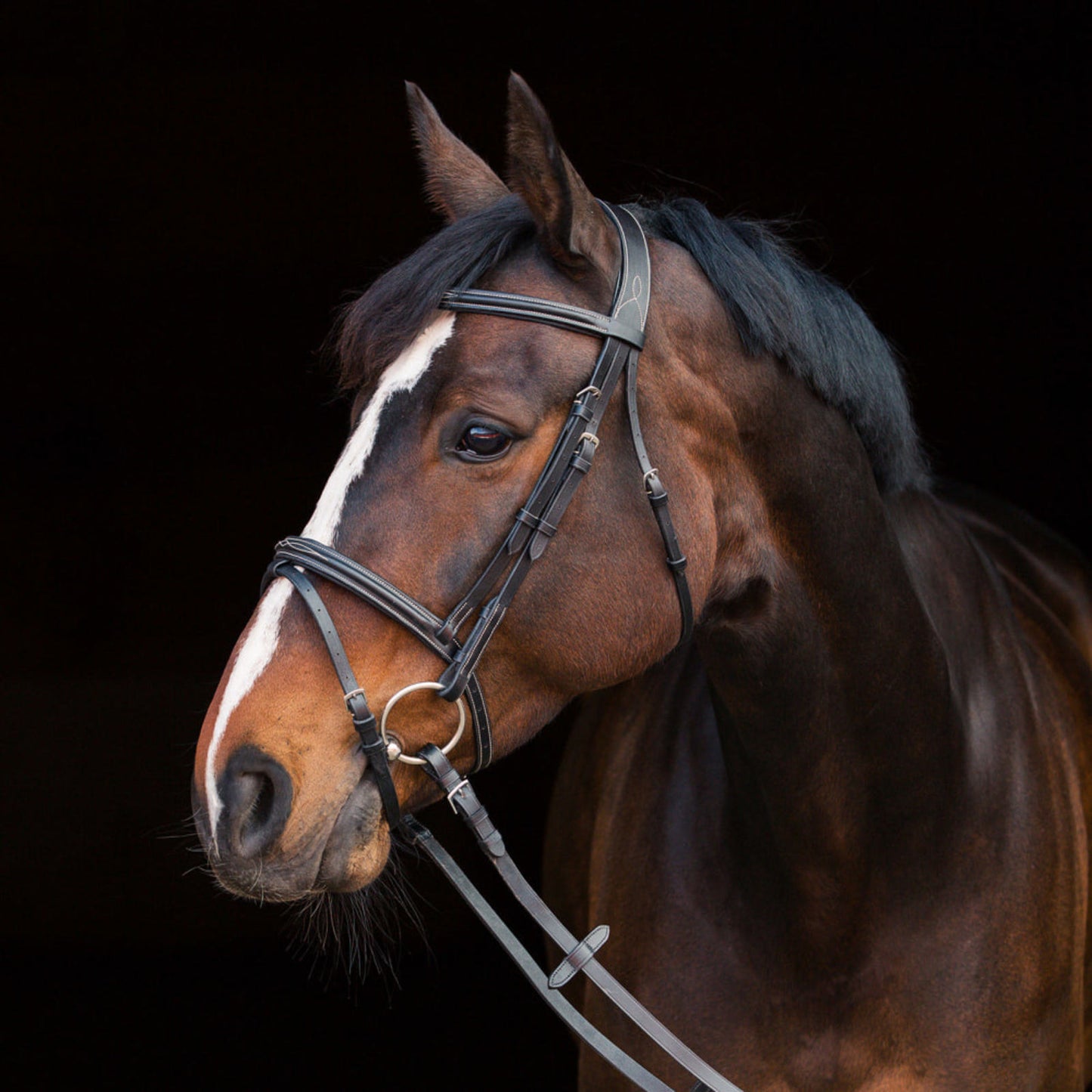 Horze Constance Padded Fancy Stitch Bridle w/reins